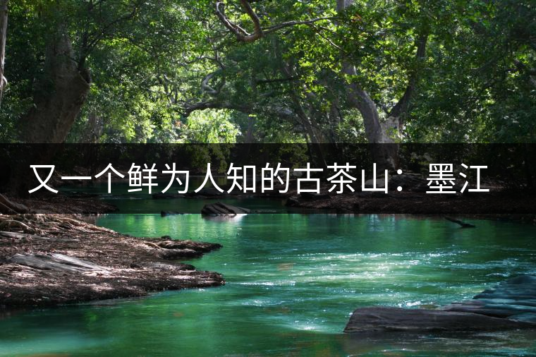 又一個鮮為人知的古茶山:墨江須立貢茶 又一個鮮為人知的古茶山:墨江須立貢茶