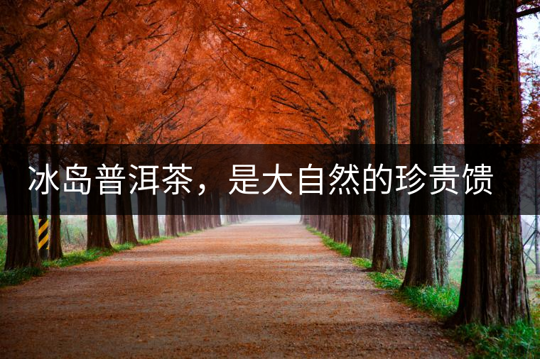 冰島普洱茶，是大自然的珍貴饋贈