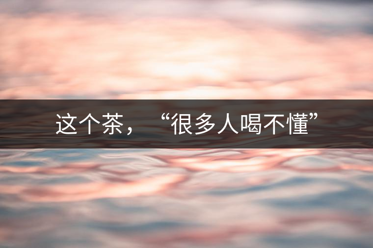 這個茶，“很多人喝不懂”