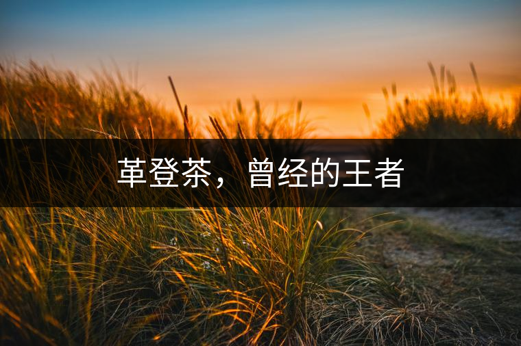 革登茶，曾經(jīng)的王者