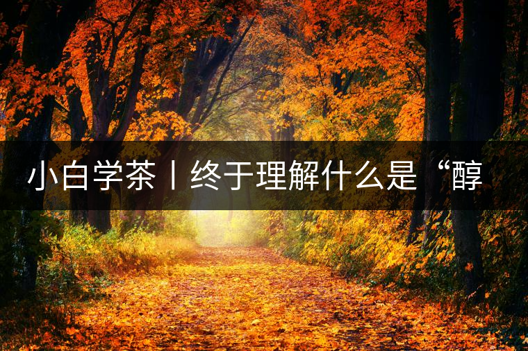 小白學(xué)茶丨終于理解什么是“醇厚、耐泡，回甘”了