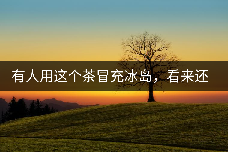 有人用這個(gè)茶冒充冰島，看來還是有幾分道理