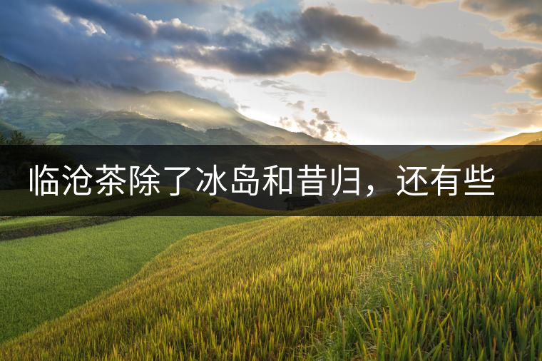 臨滄茶除了冰島和昔歸，還有些什么？