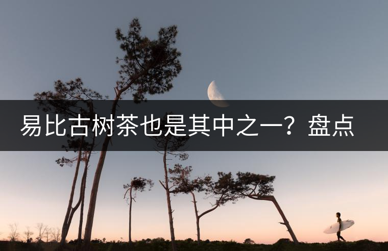 易比古樹茶也是其中之一？盤點(diǎn)當(dāng)下易武最火的十大古樹茶！