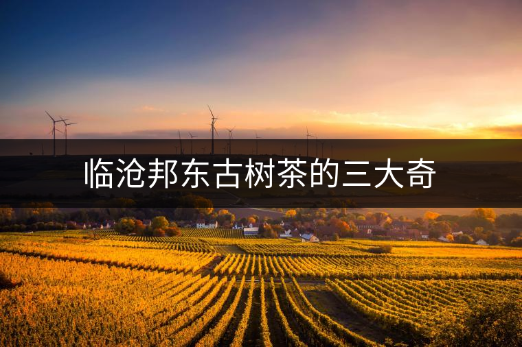 臨滄邦東古樹(shù)茶的三大奇 臨滄邦東古樹(shù)茶的三大奇