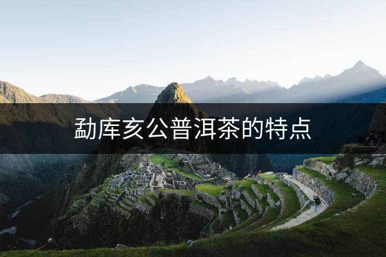 勐庫(kù)亥公普洱茶的特點(diǎn)
