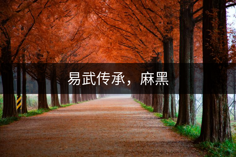 易武傳承，麻黑