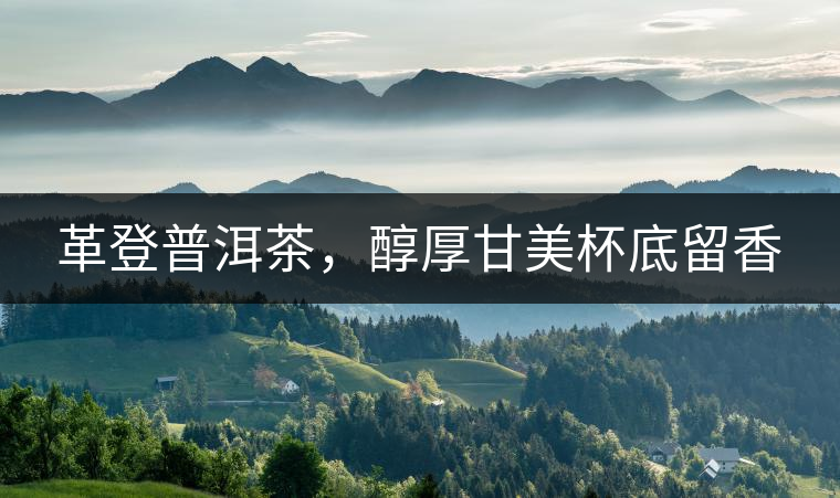 革登普洱茶，醇厚甘美杯底留香