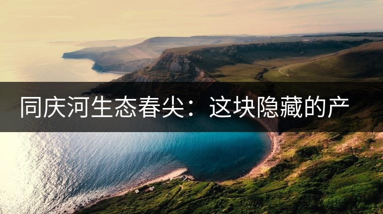 同慶河生態(tài)春尖：這塊隱藏的產(chǎn)茶圣地，你知道嗎？