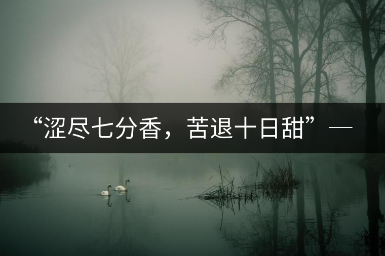 “澀盡七分香，苦退十日甜”─ 老曼娥