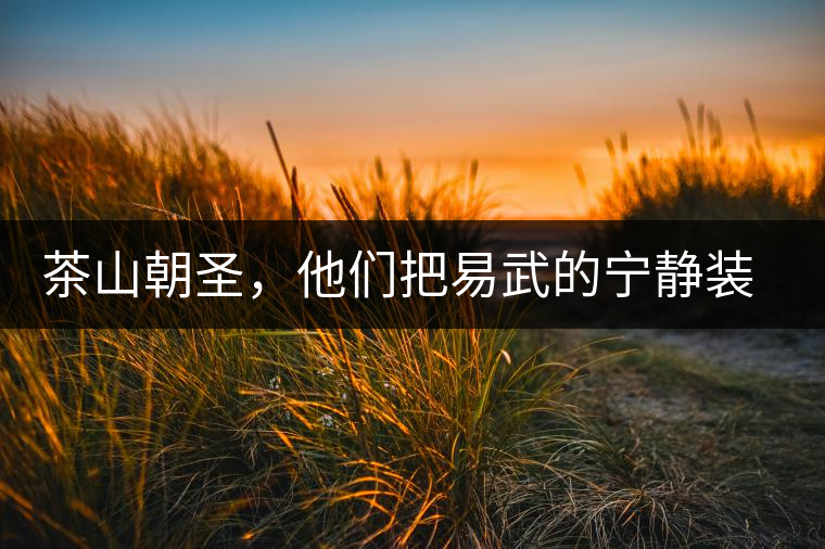 茶山朝圣，他們把易武的寧靜裝進(jìn)心里，卻把成堆垃圾留在