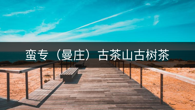 蠻專（曼莊）古茶山古樹(shù)茶