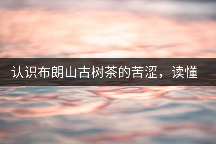 認(rèn)識布朗山古樹茶的苦澀，讀懂勐海普洱茶