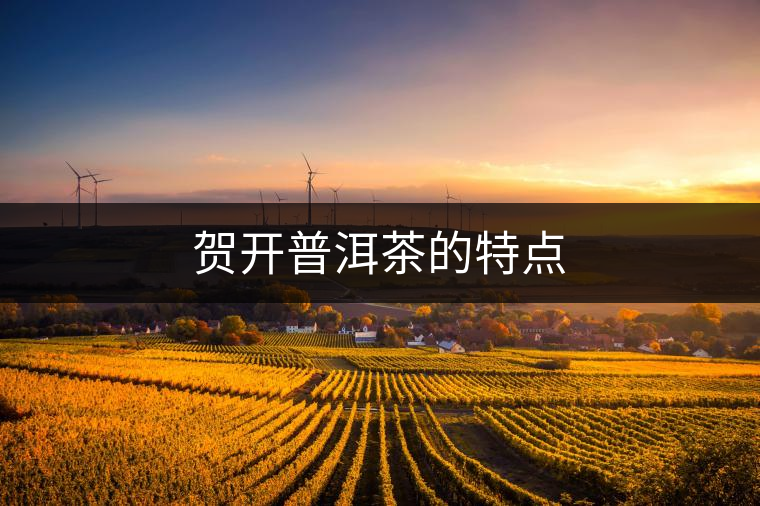 賀開普洱茶的特點(diǎn)