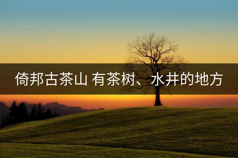 倚邦古茶山 有茶樹、水井的地方