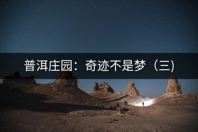普洱莊園:奇跡不是夢(mèng)(三) 普洱莊園:奇跡不是夢(mèng)(三)