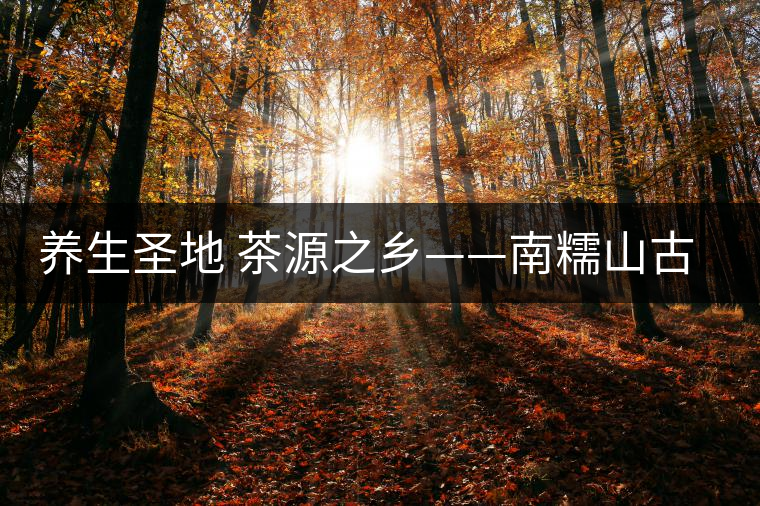 養(yǎng)生圣地 茶源之鄉(xiāng)——南糯山古茶區(qū) 養(yǎng)生圣地 茶源之鄉(xiāng)——南糯山古茶區(qū)