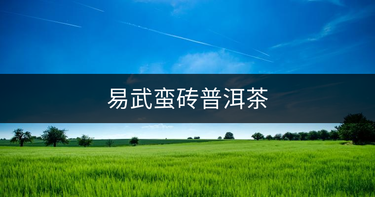 易武蠻磚普洱茶