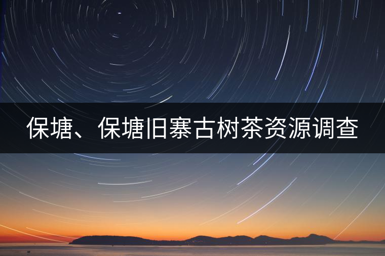 保塘、保塘舊寨古樹茶資源調(diào)查