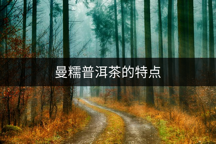 曼糯普洱茶的特點 曼糯普洱茶的特點