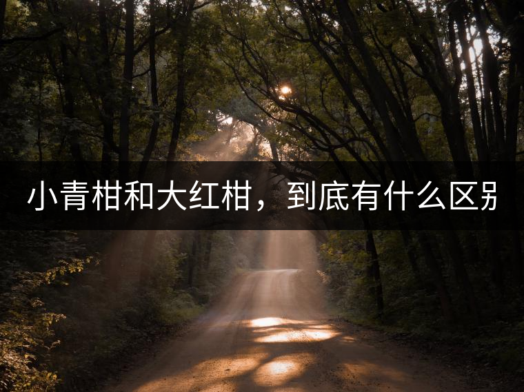 小青柑和大紅柑，到底有什么區(qū)別？