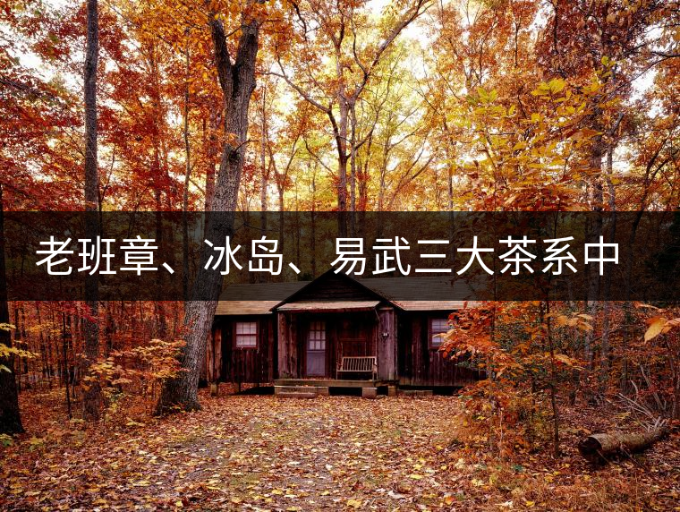老班章、冰島、易武三大茶系中，“潛力股”為何是易武？