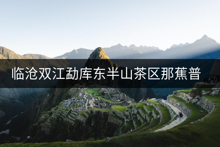 臨滄雙江勐庫東半山茶區(qū)那蕉普洱茶