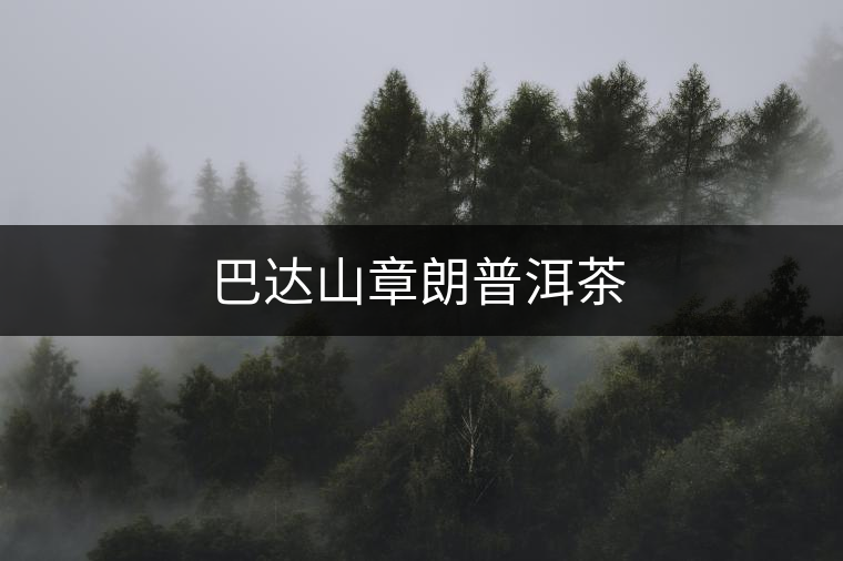 巴達山章朗普洱茶 巴達山章朗普洱茶