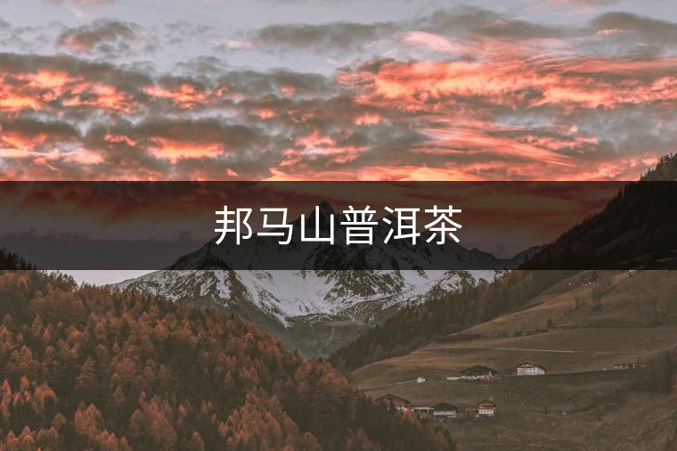邦馬山普洱茶 邦馬山普洱茶