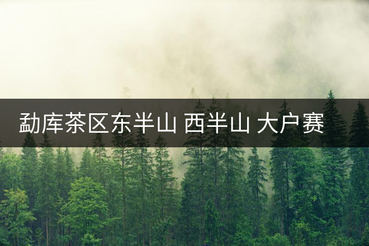 勐庫(kù)茶區(qū)東半山 西半山 大戶賽 小戶賽普洱茶介紹