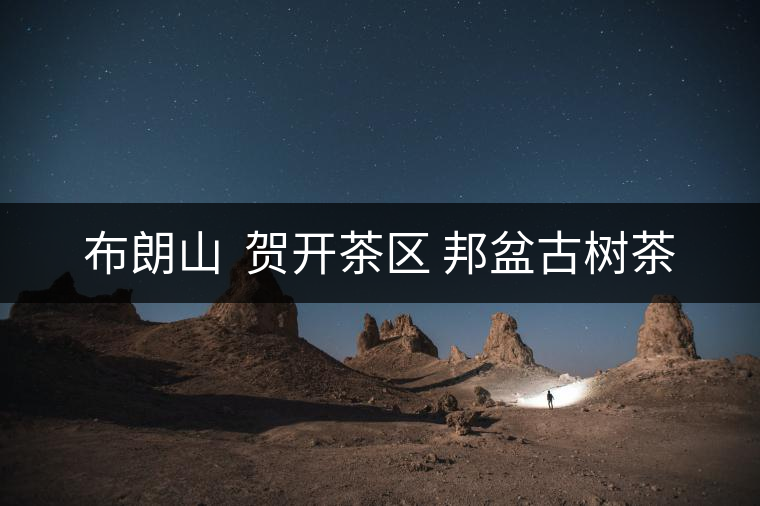 布朗山  賀開(kāi)茶區(qū) 邦盆古樹茶