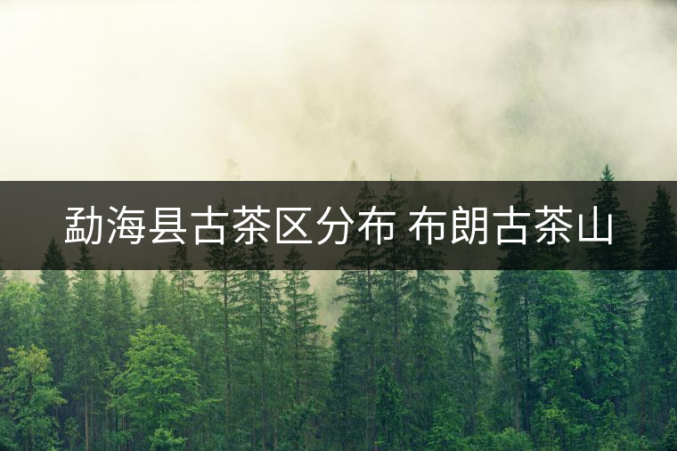 勐?？h古茶區(qū)分布 布朗古茶山
