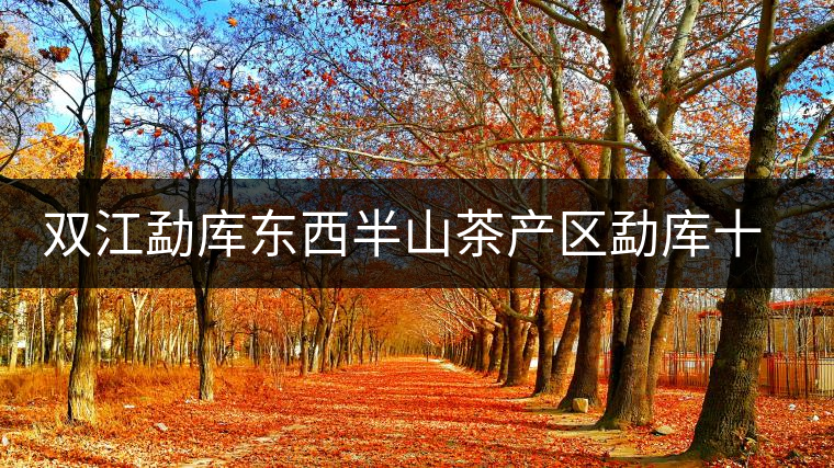 雙江勐庫東西半山茶產(chǎn)區(qū)勐庫十六寨