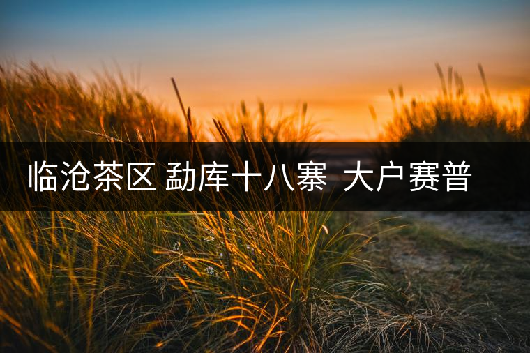 臨滄茶區(qū) 勐庫十八寨 大戶賽普洱茶 臨滄茶區(qū) 勐庫十八寨 大戶賽普洱茶