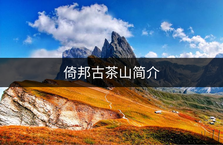 倚邦古茶山簡(jiǎn)介