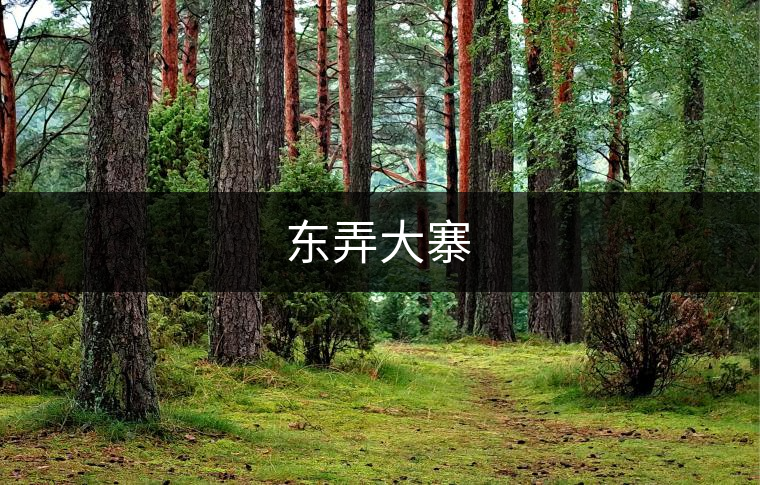 東弄大寨 東弄大寨