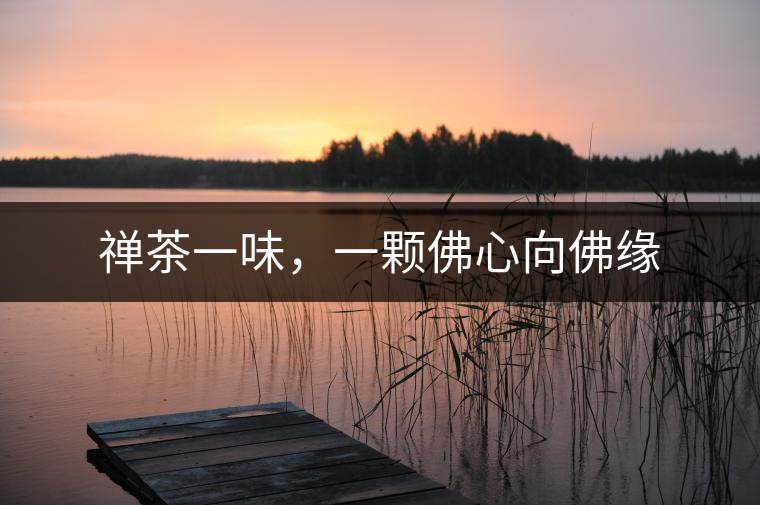 禪茶一味，一顆佛心向佛緣