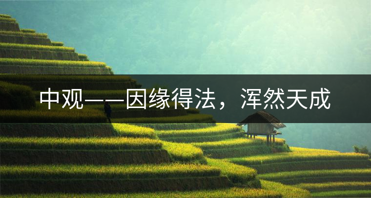 中觀——因緣得法，渾然天成