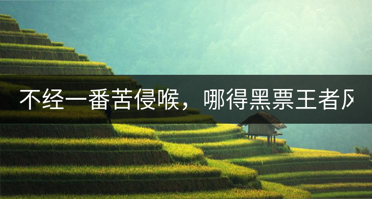 不經(jīng)一番苦侵喉，哪得黑票王者風(fēng)！