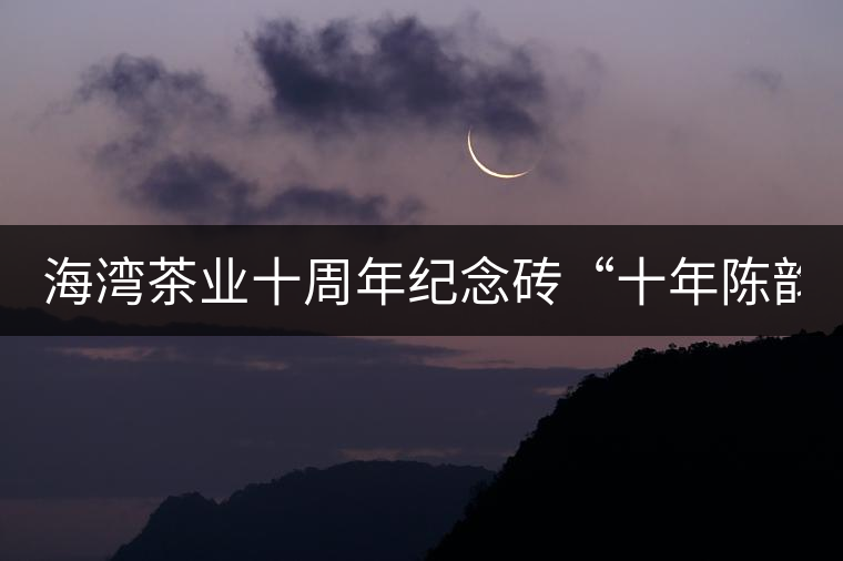 海灣茶業(yè)十周年紀(jì)念磚“十年陳韻”品鑒！