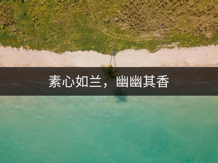 素心如蘭，幽幽其香