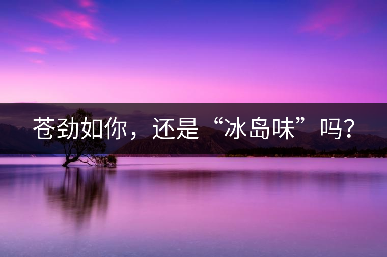 蒼勁如你，還是“冰島味”嗎？