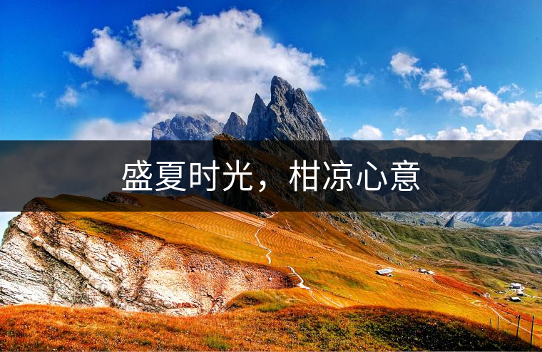 盛夏時(shí)光，柑涼心意