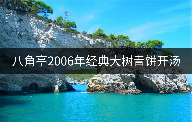 八角亭2006年經(jīng)典大樹(shù)青餅開(kāi)湯 八角亭2006年經(jīng)典大樹(shù)青餅開(kāi)湯