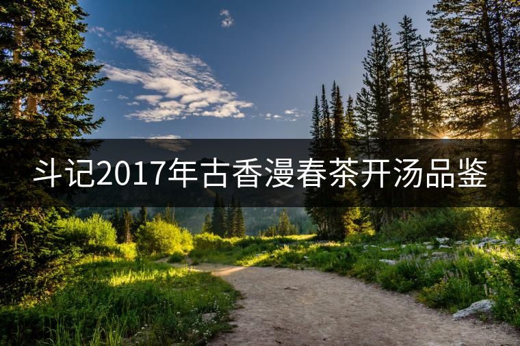 斗記2017年古香漫春茶開(kāi)湯品鑒 斗記2017年古香漫春茶開(kāi)湯品鑒