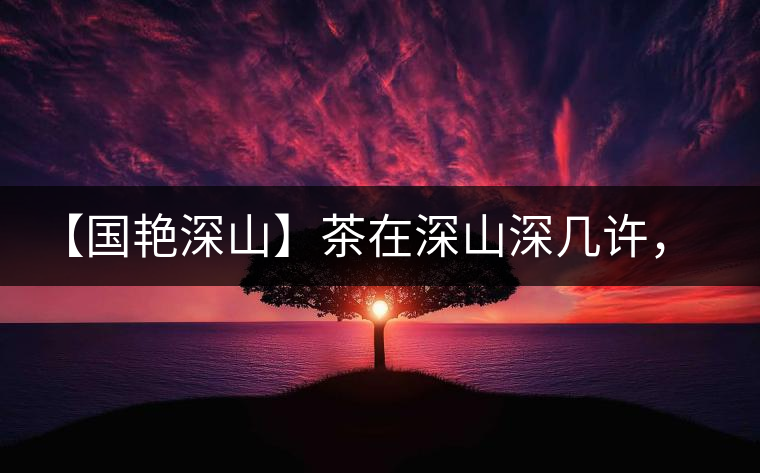 【國艷深山】茶在深山深幾許，布朗味釅釅幾分！