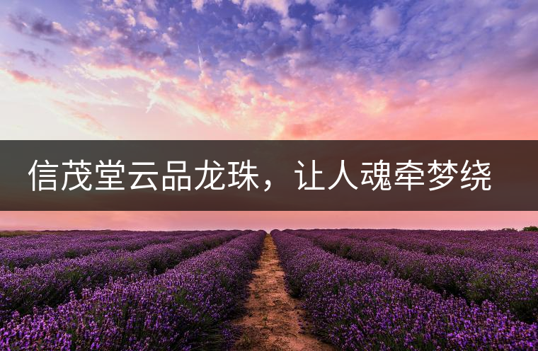 信茂堂云品龍珠，讓人魂?duì)繅衾@的尤物