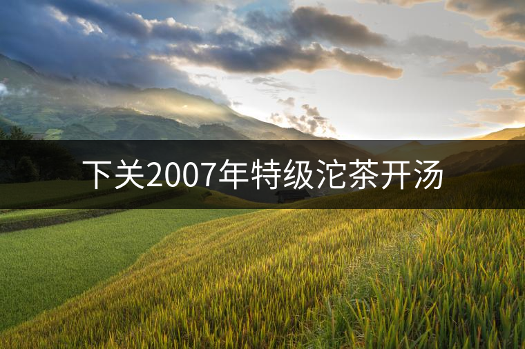 下關2007年特級沱茶開湯 下關2007年特級沱茶開湯