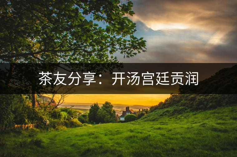 茶友分享：開(kāi)湯宮廷貢潤(rùn)