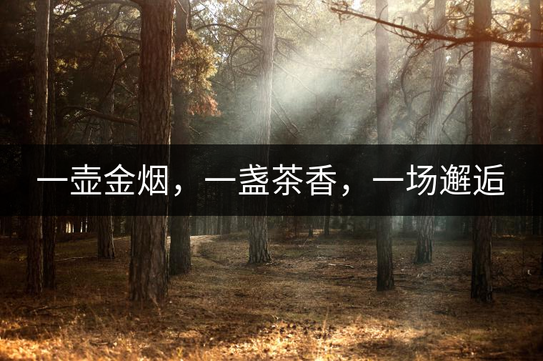 一壺金煙，一盞茶香，一場邂逅